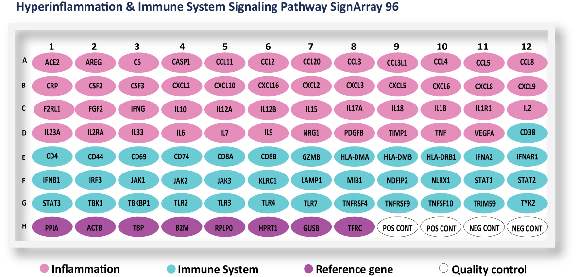 Hyperinflammation and Immune system
