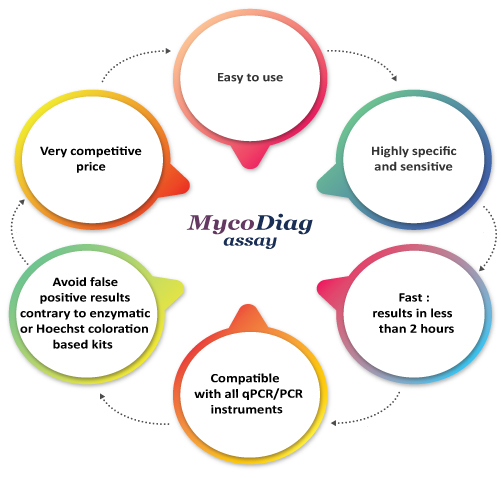 Compatible with all the qPCR / PCR instruments, these highly specific and sensitive easy-to-use MycoDiag assays allow to detect Mycoplasma contamination of your cell cultures in less than 2 hours.